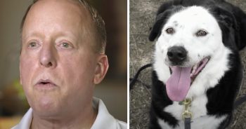 Guy’s Told He Had 5 Years To Live, So He Goes To Shelter And Asked For An‘Obese, Middle-Aged Dog