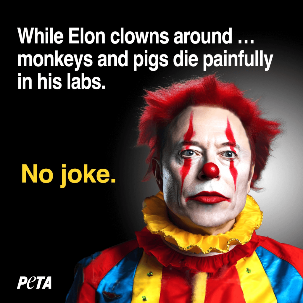 PETA Sets Out to Advertise on Elon Musk’s X; Will He Bite?