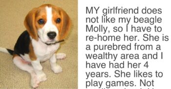 Girlfriend Gave Her Boyfriend An ‘Ultimatum’, Demands Either “The Dog Goes” Or “She Goes”