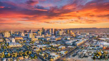 Traveling With Your Dog to Glendale, Arizona: Pet-Friendly Flights, Hotels, Activities and More