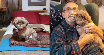 Puppy Mill Survivor Can Stay With Her Favorite Human Thanks To Your Support