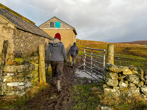 Our Boxing Day Hunt