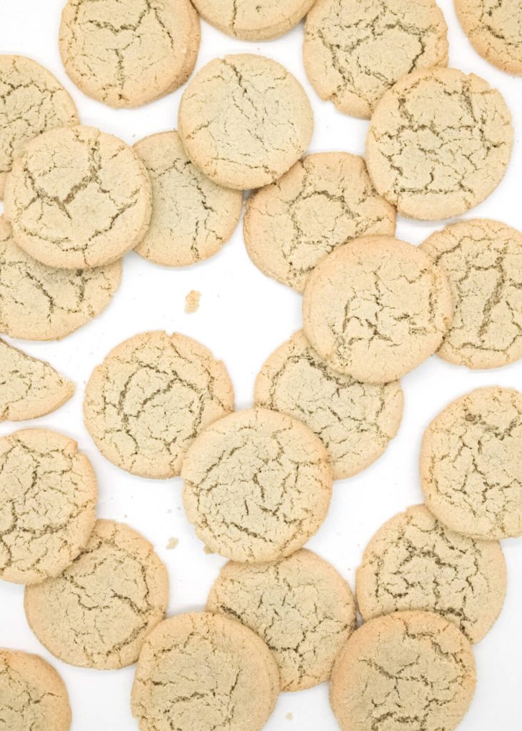 It’ll ‘Sleigh’ Ya! Sweet Maresa’s Marzipan Cookie Makes PETA’s Top 10 List