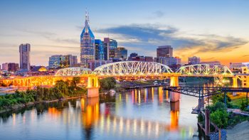 Traveling With Your Dog to Nashville, Tennessee: Pet-Friendly Flights, Hotels, Activities and More