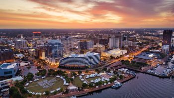 Traveling With Your Dog to Norfolk, Virginia: Pet-Friendly Flights, Hotels, Activities and More