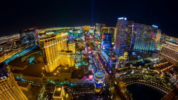 Traveling With Your Dog to North Las Vegas, Nevada: Pet-Friendly Flights, Hotels, Activities and More