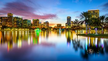 Traveling With Your Dog to Orlando, Florida: Pet-Friendly Flights, Hotels, Activities and More