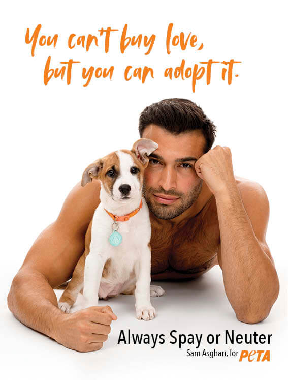 ‘I’ll Never Buy Another Dog!’: Sam Asghari Cuddles Homeless Pups in Campaign for PETA