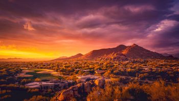 Traveling With Your Dog to Scottsdale, Arizona: Pet-Friendly Flights, Hotels, Activities and More