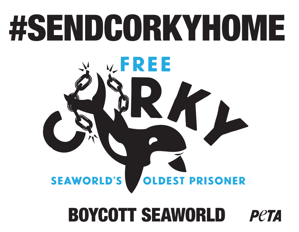 Protesting ‘Santas’ Outside SeaWorld Will Mark 54th Year Since Corky’s Capture and Confinement