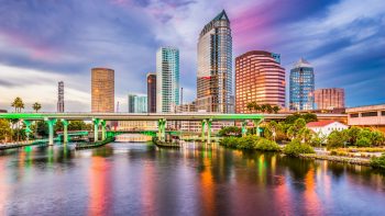 Traveling With Your Dog to Tampa, Florida: Pet-Friendly Flights, Hotels, Activities and More