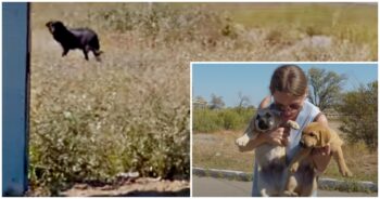 Mom Turned Back To Get ‘One-Last-Look’ At Her Babies And Wished Them A Happy Life