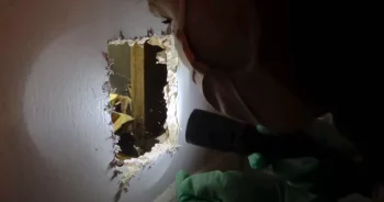 Tiny Cries Coming From Inside The Wall Prompt Homeowner To Call For Help