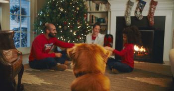 A Special Christmas Morning For A Man And His Dog