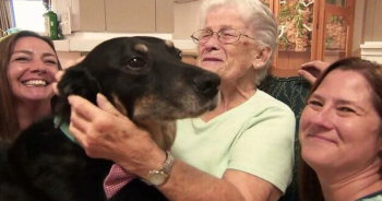 Dog ‘Repeatedly’ Escaped Shelter To Comfort Residents In Nursing Home