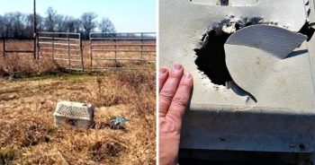 Biker Sees ‘Chewed’ Up Crate In Rural Wilderness, His Heart Sunk As He Opened-It