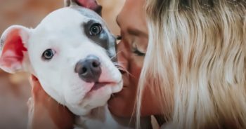 Puppy Who Couldn’t Move Races To Woman Who Brought Her Back To Life