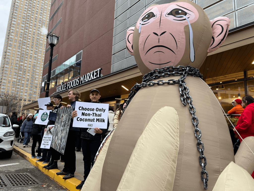 Giant ‘Monkey’ to Hijack Whole Foods Grand Opening Over Thai Coconut Industry Abuse