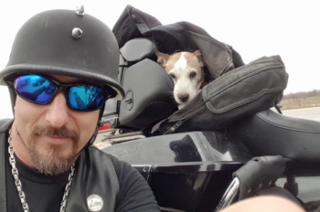 Biker Sees A Dog Being Abused On The Side Of The Road And Immediately Pulls Over