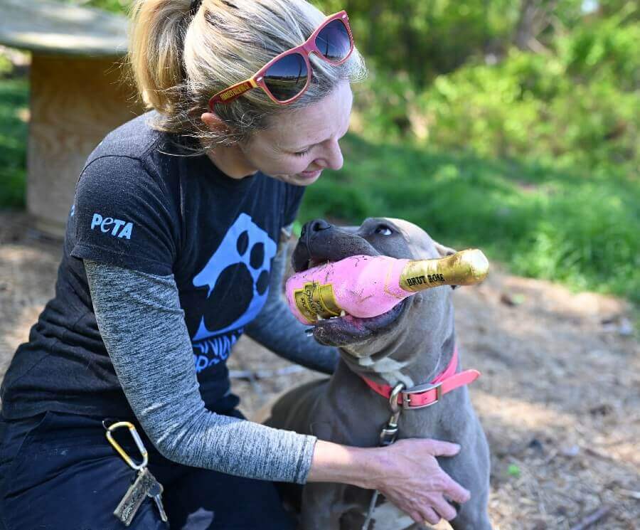 Santa Paws Is Coming: ‘Christmutts’ Toy Drive Brings Some Holiday Cheer to Chained Dogs