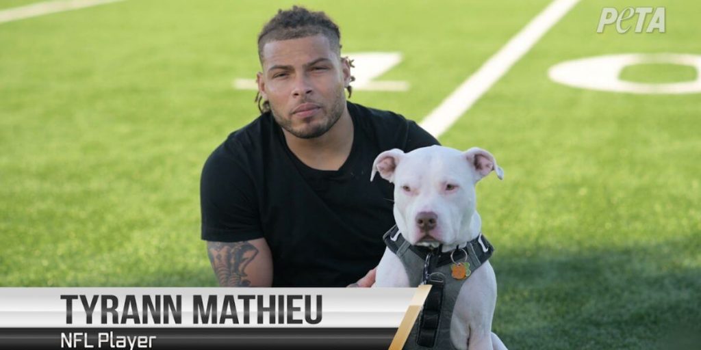 Tyrann Mathieu Scores PETA Award for Anti-Chaining Video Airing on ESPN