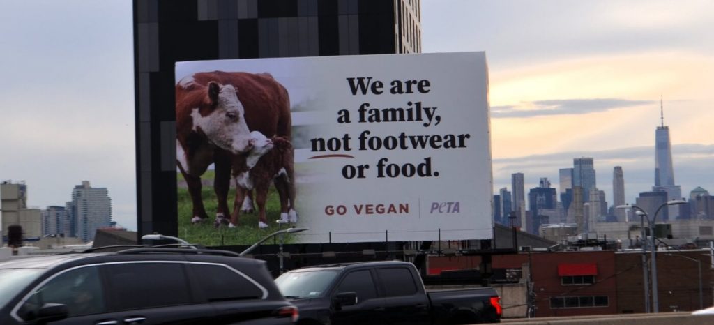 ‘We’re a Family!’ Cow and Calf’s Mooving Message on Long Island Expressway, Courtesy of PETA