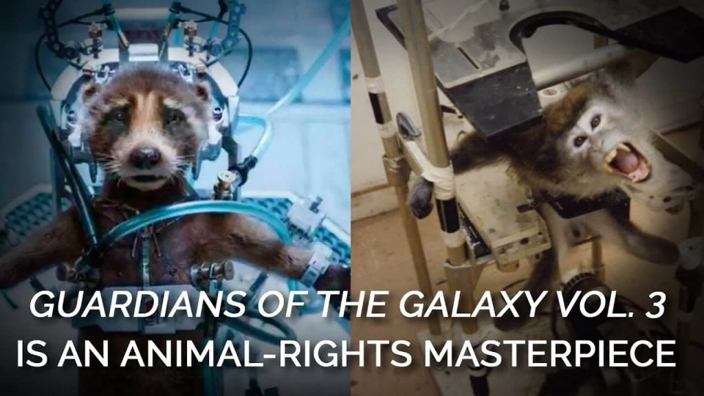 Guardian of the Galaxy and of Three Rescued Companions, THIS Hollywood Powerhouse Is PETA’s 2023 Person of the Year!