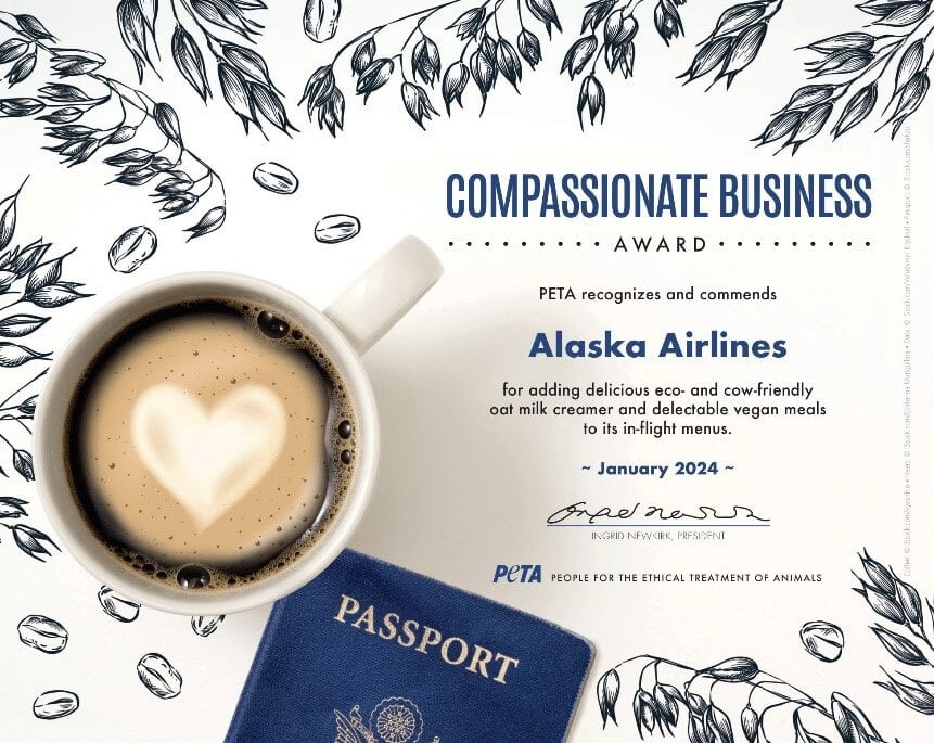 The Sky’s No Limit: Alaska Airlines on Board With Oat Milk, Nabs PETA Award