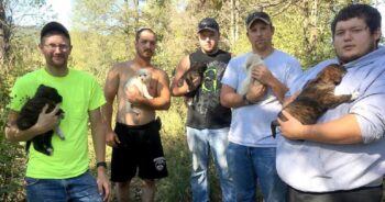 They Sacrificed Their Bachelor Party To Save Sick Puppies They Found In Woods