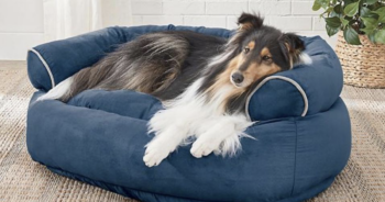 11 Best Dog Beds