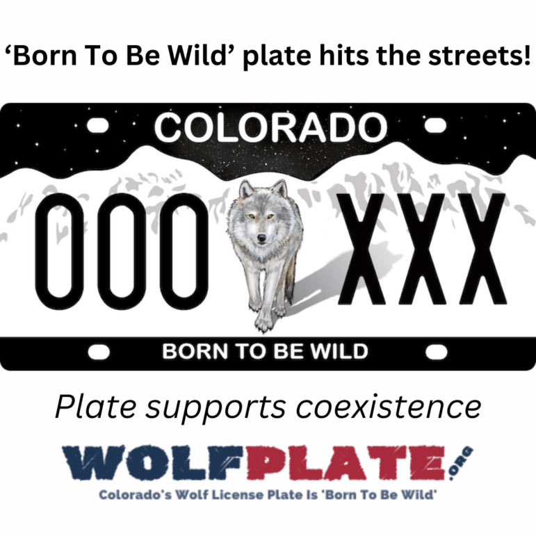 CO: Support Wolf Recovery License Plates