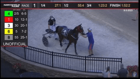 Horse Tested Positive for Meth; Now PETA Wants Harness Trainer’s License Revoked