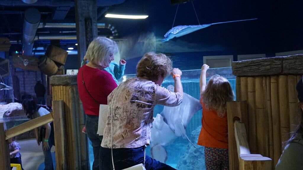 Speak Up for Animals Neglected at SeaQuest and Other Atrocious Aquariums