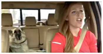 Dog’s favorite song comes on radio, mom decided to join in for ‘Duet-Performance’