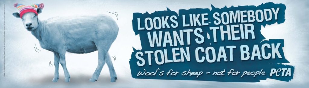 ‘Somebody Wants Their Stolen Coat Back’: Sheep Show Garners Woolly Warning From PETA