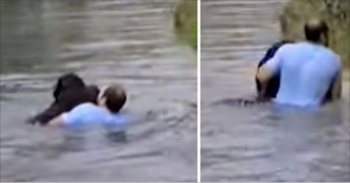 Zoo Staff Refused To Save Drowning Chimp, Suddenly Man Jumps Into Enclosure