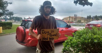 Homeless man stood outside Walmart pleading to help his dog, woman comes to his rescue