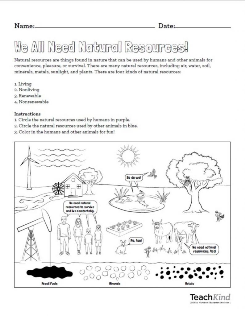 Animals Aren’t Natural Resources, They Use Them! A New Activity From TeachKind