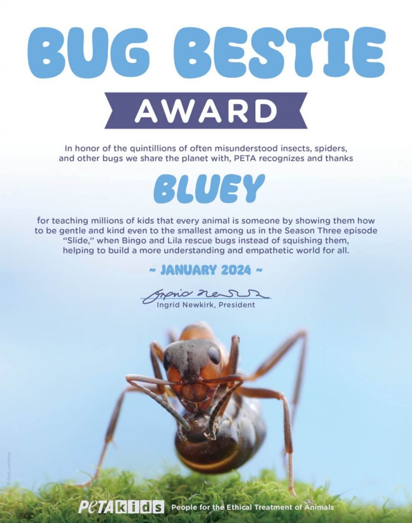 ’Bluey’ Nabs PETA Kids Award for Heartwarming Episode About Being Kind to Bugs