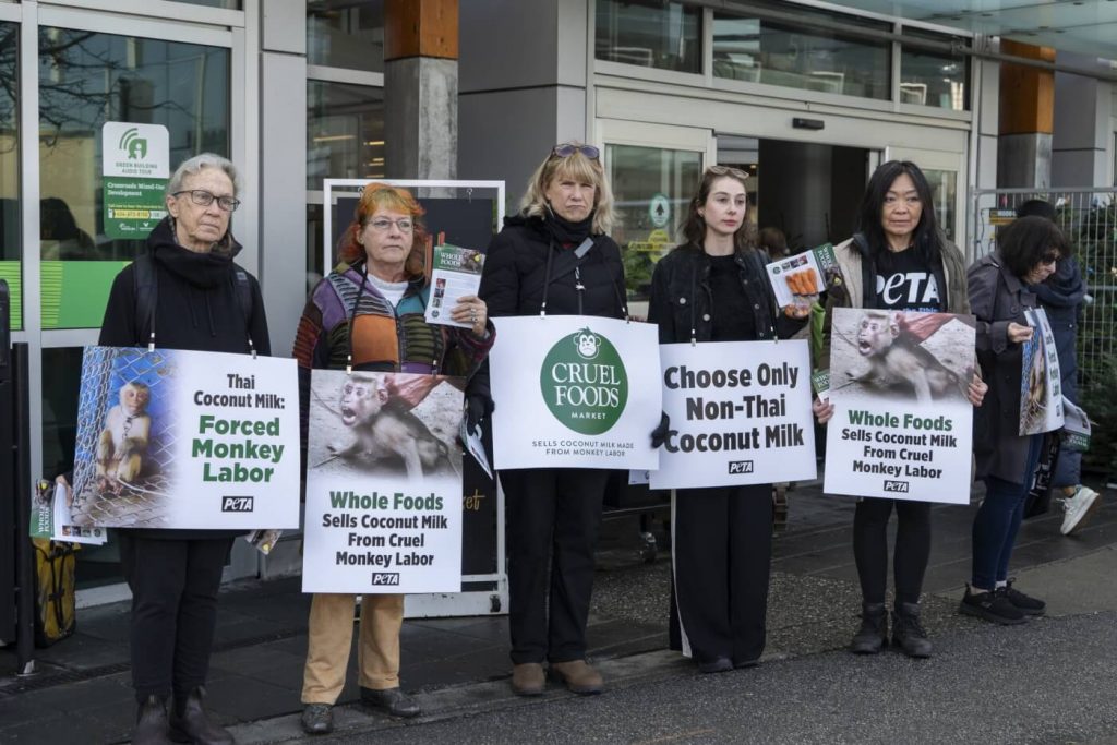 Cruelly Obtained Coconut Milk at Canadian Whole Foods Stores? PETA Speaks Up