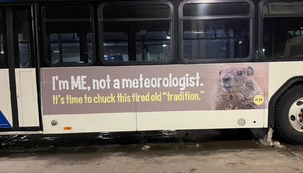 Chuck This Tired ‘Tradition’: Multi-Bus Media Blitz Urges Sun Prairie to Leave Groundhogs in Peace