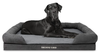 A Haven Of Rest And Comfort For Dogs: The Dog’s Bed Orthopedic Bed Review 2024