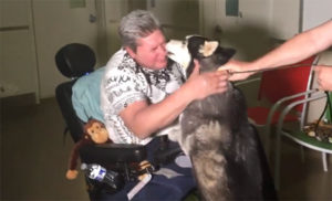 Disabled Man Finally Reunites With Service Dog After Woman Refused To Give Him Back