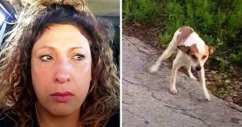 Woman Drives To A Dog Dumping Ground At 4 AM, Sees A Dog ‘Staring’ At Her