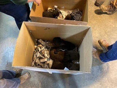 Newborn Cubs Prompt PETA Call for Probe of Shoddy Roadside Zoo Caught Using Bottle Rockets on Bears