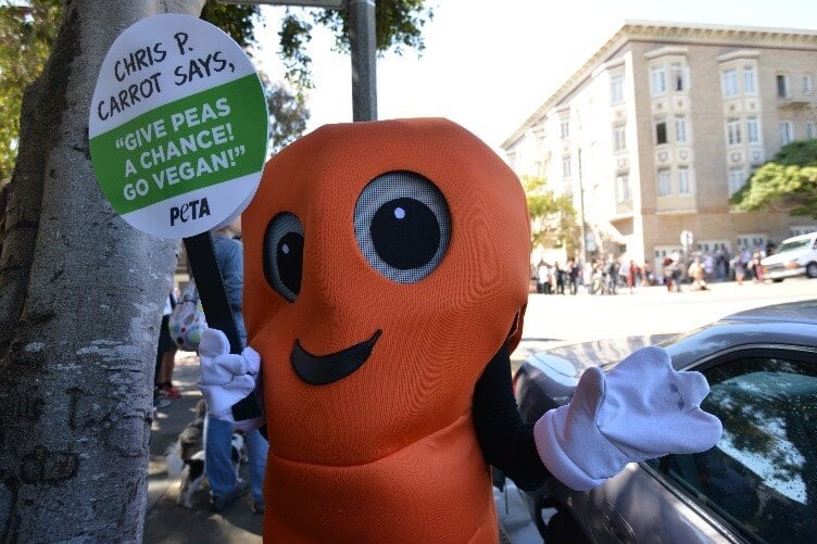 ‘Eat Me!’ Chris P. Carrot Says Presidential Candidates Must Go Vegan to Combat Climate Catastrophe and More