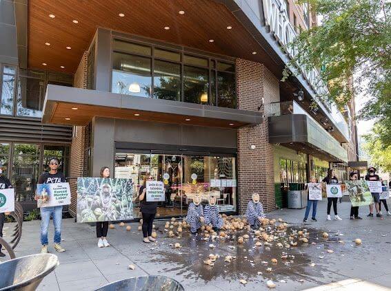 Happening Now: PETA ‘Monkeys’ Dump Coconuts at Local Whole Foods Over Ties to Forced Labor