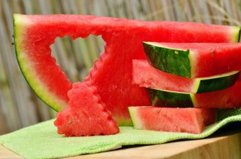Can Labs Eat Watermelon?