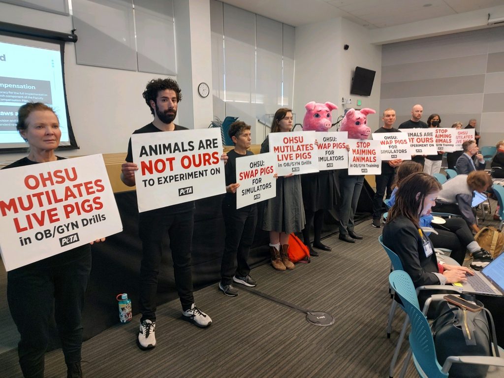 Animal Allies to Protest at OHSU Board Meeting in Defense of Pigs