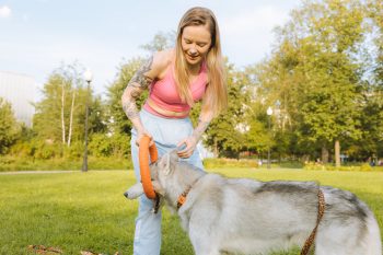 9 Most Athletic Dog Breeds for Active Owners